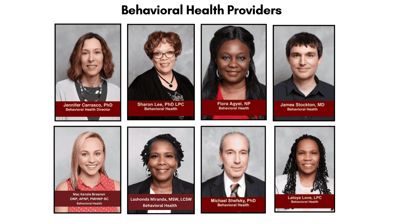 behavioral health providers